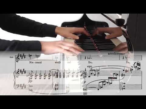 Richard Strauss: Octavian's Aria from Der Rosenkavalier  - "Wie Du warst!..." - Sing Along Opera