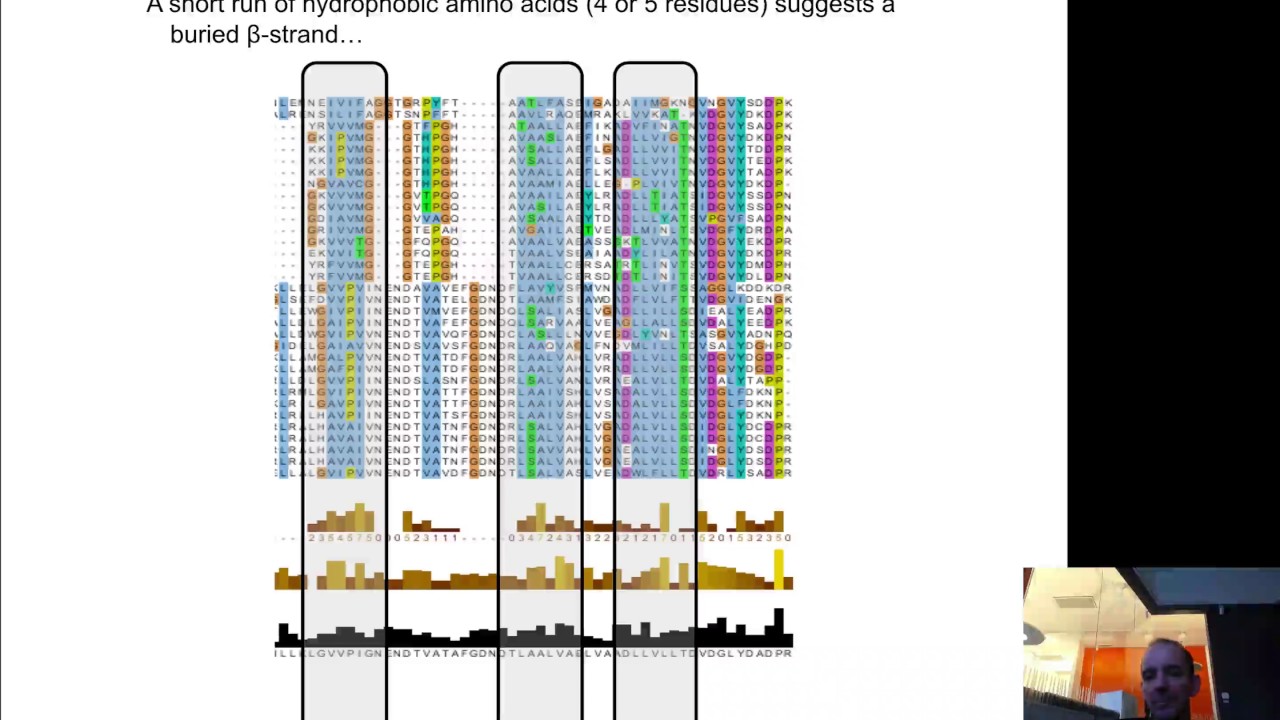 Extract Information from Multiple Sequence Alignments