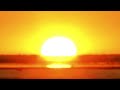 Sunrise From Circle Of Life A Scene From The Tiger King For Davidchannel29entertaiment8