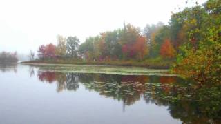 preview picture of video 'Kingston Lake NH on a Foggy October Day'
