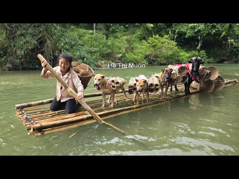 A Girl Crossing the River on a Bamboo Raftwith Dogs and Goats Carrying Baskets - ha thi muon