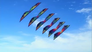 Jimmy Somerville "Kite" Lyrics