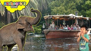 Playful Elephants on a JUNGLE RIVER CRUISE! Skyheart in disneyland boat ride kids zoo