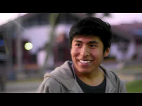 batallas de gallos ilegales en tacna XD