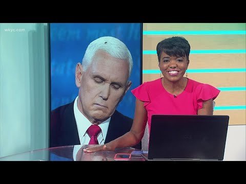 How a fly stole the show at the vice presidential debate