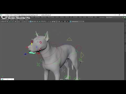Dog Rigging Showreel | Faculty - Kailash H Kanojia