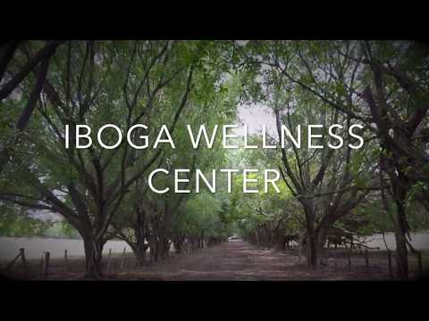 download lagu mp3 mp4 Iboga Retreat, download lagu Iboga Retreat gratis, unduh video klip Iboga Retreat