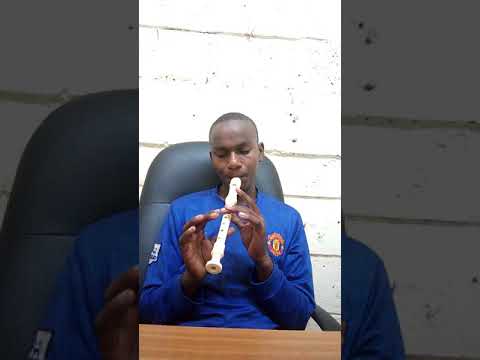 Havana (Camila cabelo) recorder cover.