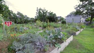 Download lagu Grow it Green Morristown mp3