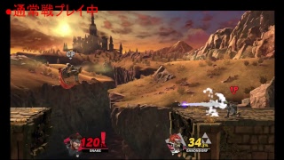 スマブラSP　ライブ