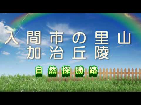 入間市の里山　加治丘陵　ドローン映像