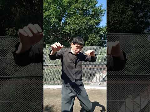 宮拳法カーフキック