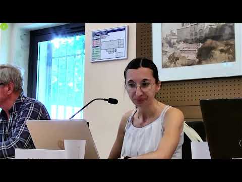 Conseil municipal du 3 juillet 2025