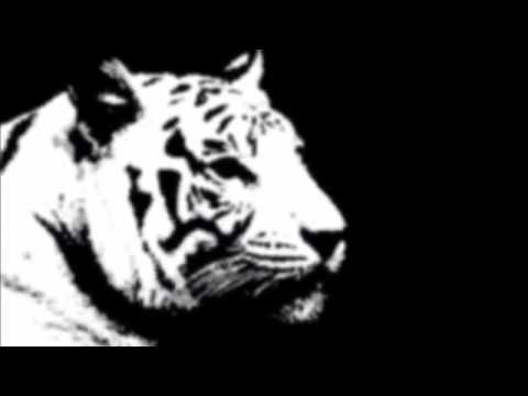 HOUSE TRAFFIC FEAT HYSTERIA- EVERDAY OF MY LIFE- MUSIKMIX