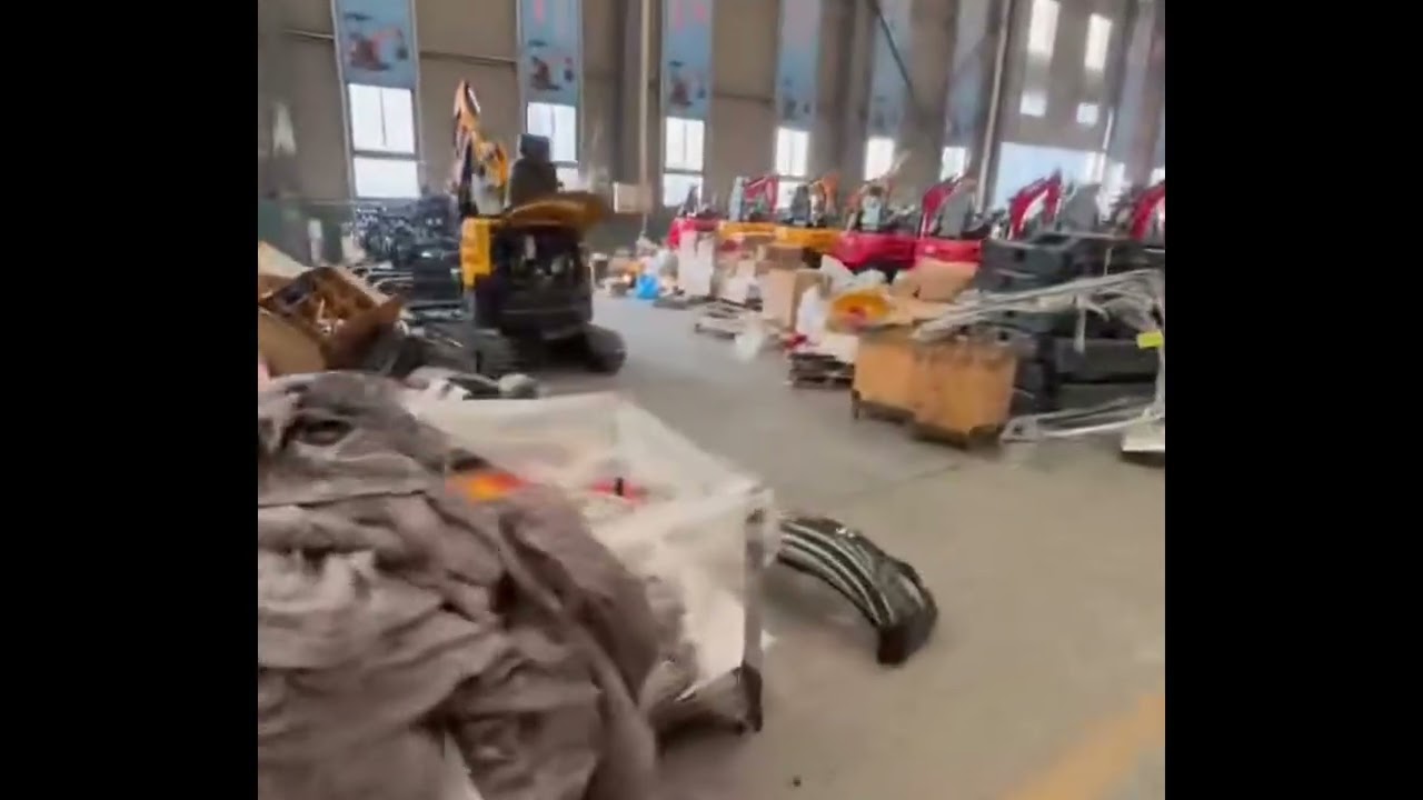 Mini excavator factory inspection
