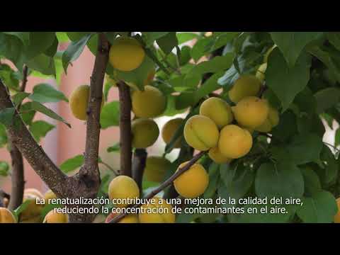 Buena práctica CEIP Cristóbal Colón