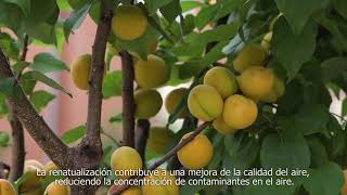 Buena práctica CEIP Cristóbal Colón