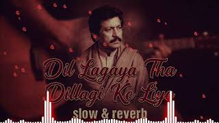 Download lagu Dil Lagaya Tha Dillagi Ke Liye 2026 (Slowed & Reverb) - Attaullah Khan Esakhelvi mp3