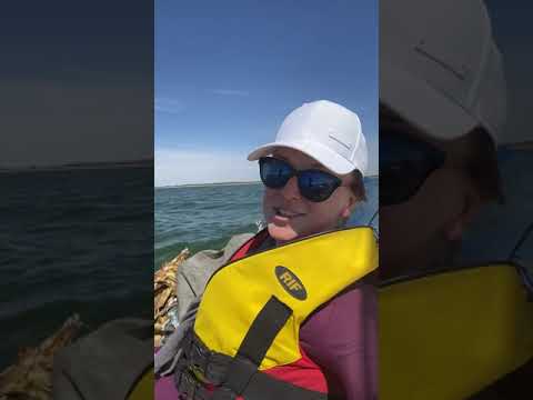 Nadezhda Gulitskaya - “Santa Lucia” (fragment)