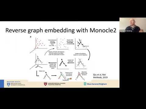 STAT115 Chapter 20.3 Pseudo time and RNA velocity