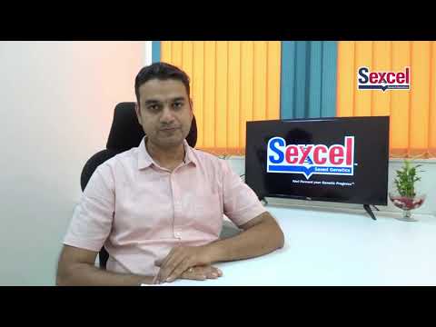 Marathi : Testing of Sexed Semen