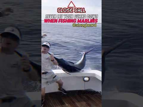 When The Fish Decides, You’re the BAIT | Black Marlin Attack on Angler😱 #swordfish #marlin