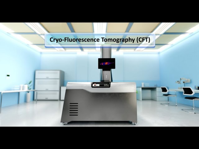 What is Cryo-Fluorescence Tomography video thumbnail