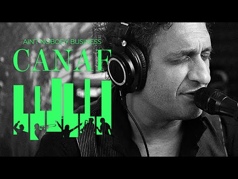 Ain't nobody business - Canaf 🔥 Cover Otis Spann / LIVE la CONCERT ONLINE
