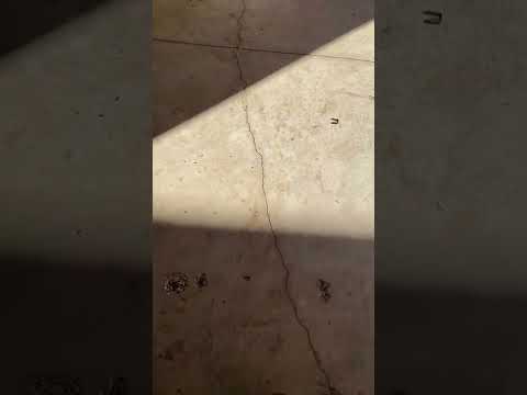 Richmond American Homes - The worst home building experience