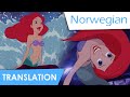 Part Of Your World Reprise Norwegian Lyrics Translation