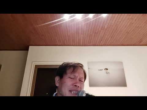 Never Thought That I Could Love Artists: Jimmy Demer and Carol  Sue Hill / Anton Cover