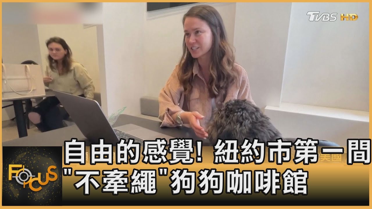 自由的感覺!紐約市第一間「不牽繩」狗狗咖啡館