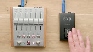 Video thumbnail for NEW PRODUCT: "EXP" Expression Roller Overview by chase bliss