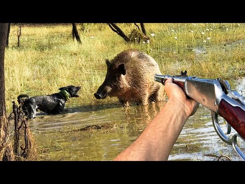 3 days Wild Pig Hunting in Remote Australia 