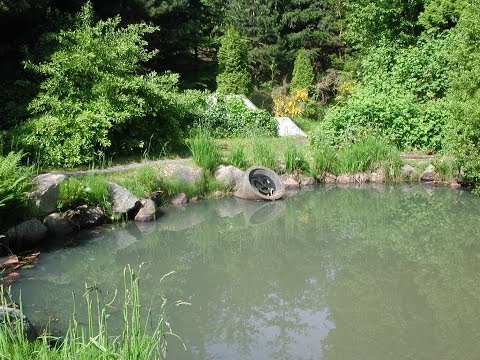 Innovative Stormwater Management at the Neighbourhood Scale