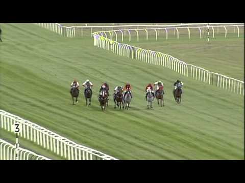 Newbury 23 July 2015