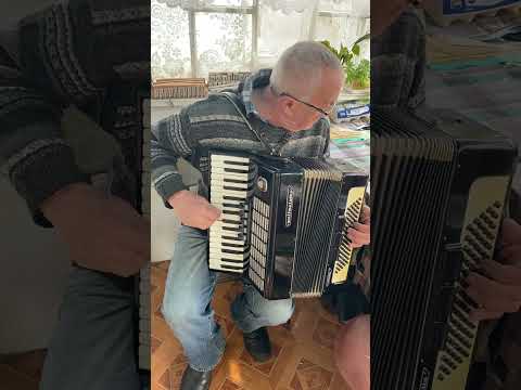 Weltmeister accordion, 3/4 accordion, 80 Bass, 34 keys, 3 voices, 5+3 registers, You can buy it