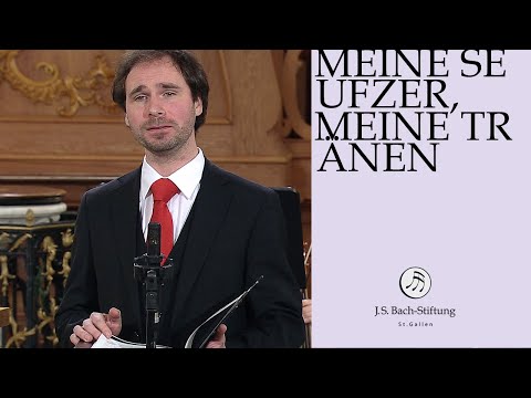 Bachstiftung