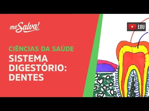 Me Salva! SDIG02 - Sistema Digestório - Dentes - Histologia Humana