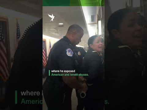 US Army veterans arrested after disrupting Senate hearing over Gaza genocide