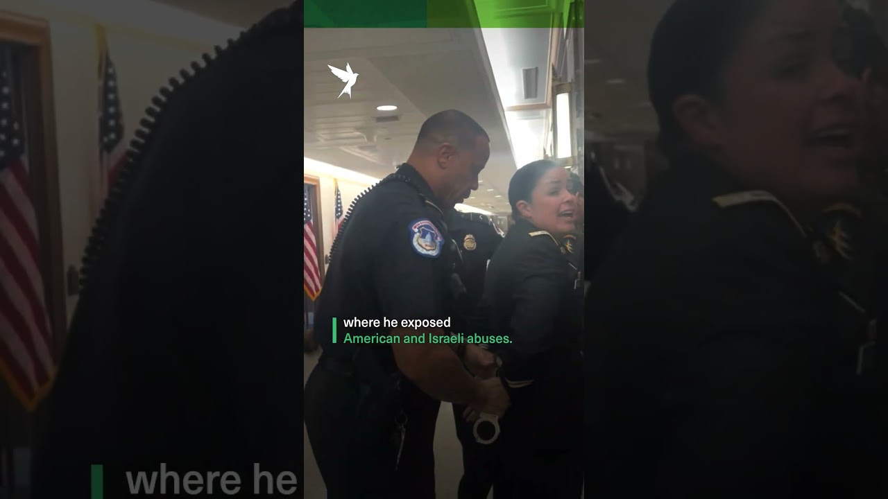 Arrest Video