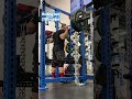 Back Squat with chains #AskKenneth #shorts