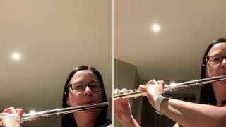 Vert - Harmonium (fin)