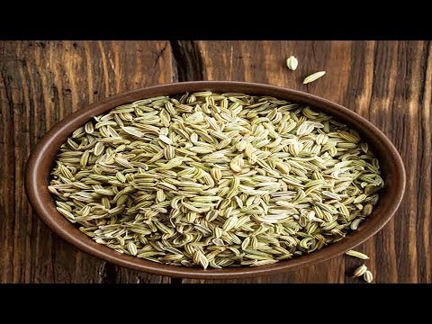 download lagu mp3 mp4 Is Fennel A Spice, download lagu Is Fennel A Spice gratis, unduh video klip Is Fennel A Spice