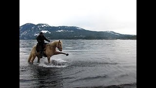 Lead A Horse To Water