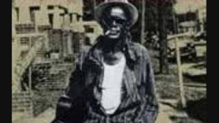LIGHTNIN&#39; HOPKINS ~ Catfish Blues