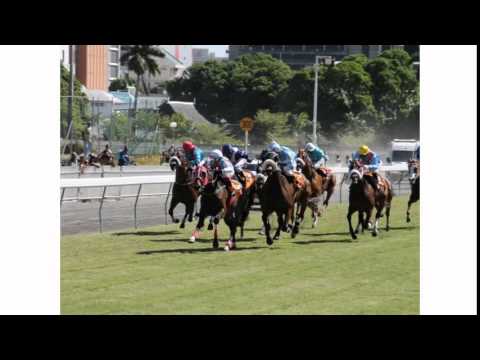 DEDICATED TO ALL HORSE LOVERS