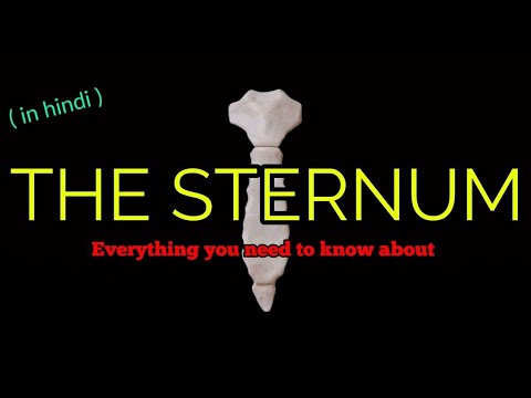 STERNUM Anatomy/sternum Ossification/muscle attachment/clinical anatomy, everything you need to know
