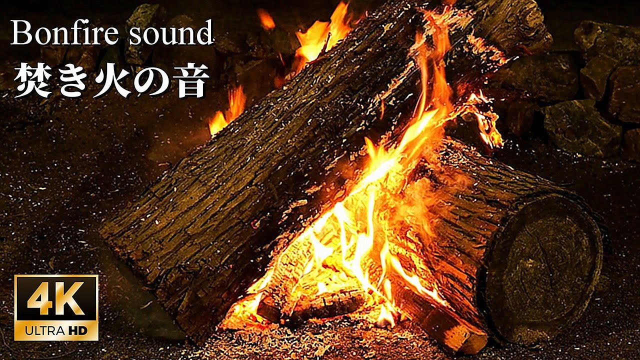 焚き火の心地よい音で30分のリラックス【睡眠用・癒し・自然音・作業用】焚き火の音で睡眠導入 - 4K 焚き火動画 - ASMR