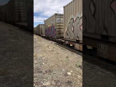 Pacific National steel train